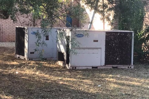 Meneso Consulting (10)